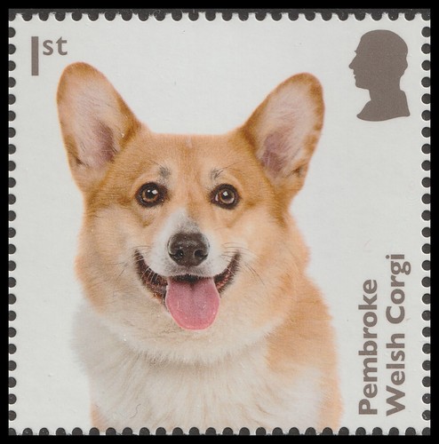 GB 5166-5175 Dogs set 10 MNH 2024 - Picture 10 of 11