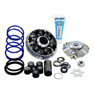 Variator POLINI HI-SPEED Evolution 2 D.13 Für Benelli 50 491 GT 1997-2001