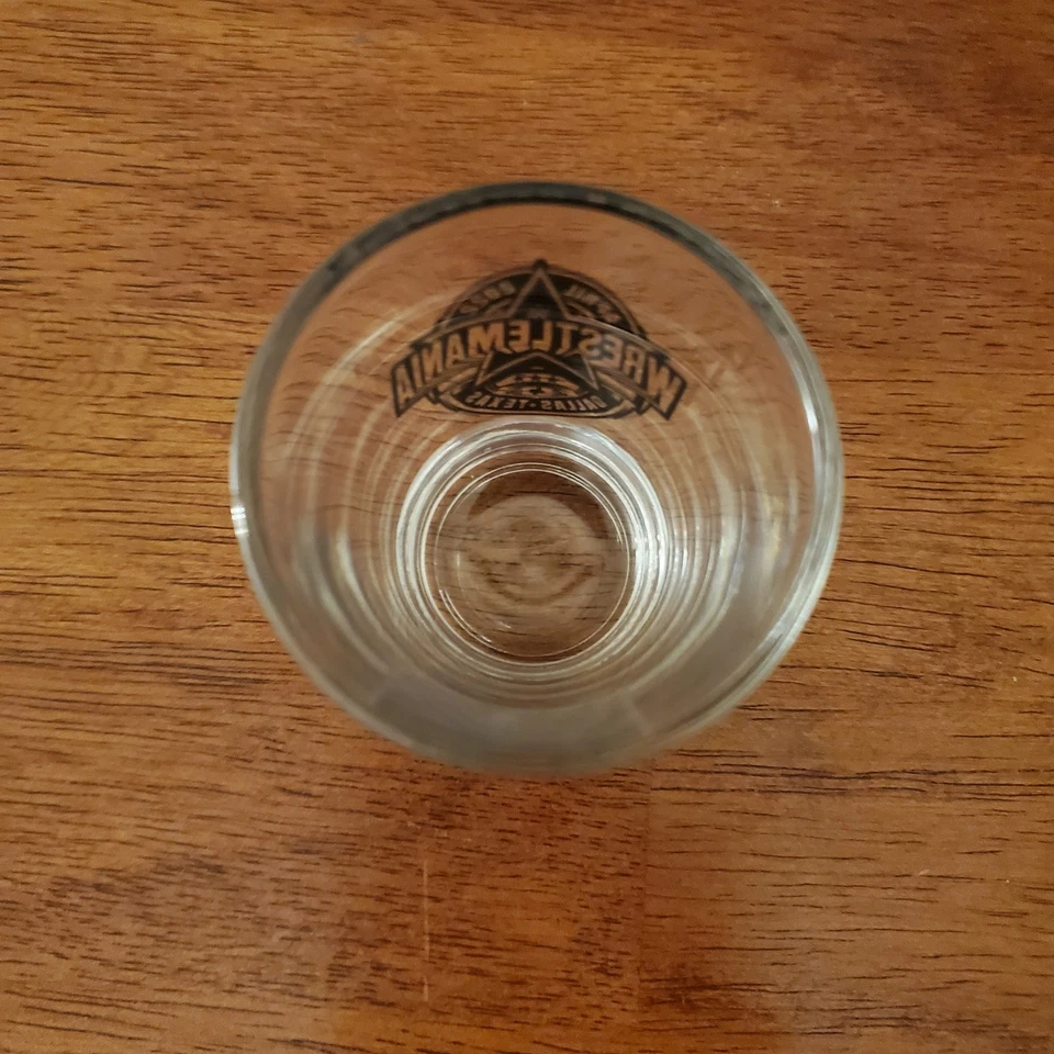 摔跤狂热 38 射击玻璃 2022 达拉斯德克萨斯州 Paul Lesnar Stone Cold Mysterio 全新 — 第 3/4 张图片