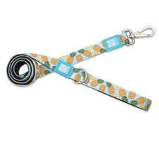 Max & Molly Short Dog Leash - Style: Sweet Pineapple - Size LARGE