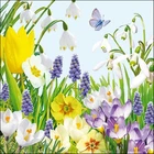 Spring Flowers Paper Napkins Colourful Floral Decoupage Party Serviettes 3Ply 20