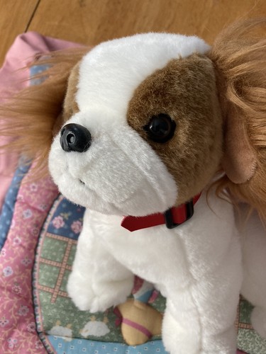 VINTAGE 2001 TY Beanie Buddies Plush Toy Retired Regal King Charles Spaniel Mint - Picture 3 of 12