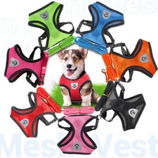 Pet Vest with Leash Mesh Padded Dog Cat Puppy Outdoor Harness Breathable S M L