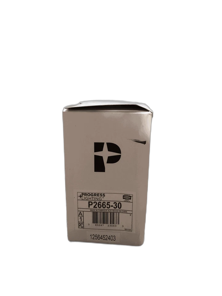 Interruptor de pared de 3 velocidades Progress Lighting Foto 4 de 4