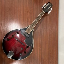 Rogue A Style Electric Mandolin Redburst 8-String with Pickup