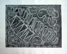 Lattanzi Luciano. Acquaforte (1981) cm.65x80 Prova d'Artista 1/1. Grafica Uno