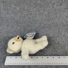 Picture 9 of 9