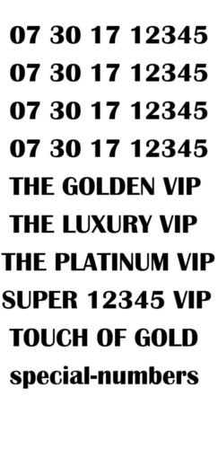 GOLD LUXURY VIP PLATINUM RARE 12345 BUSINESS MOBILE NUMBER - 12345 PLATINUM - Afbeelding 1 van 3