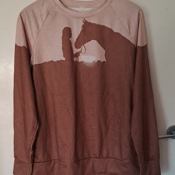 Women's Colourblock Horse Graphic Crew Neck Pullover Sweatshirt M Brown/Pink