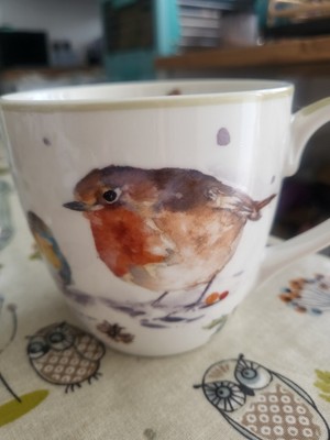 Lesser & Pavey Winter Rotkehlchen Becher