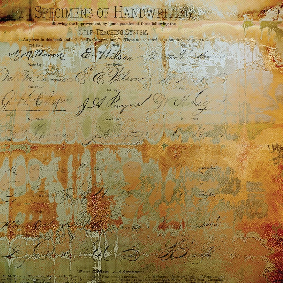 Original Tim Holtz ABANDONED 8x8 Paper Stash - From The Vault - NEW - Image 3 of 4