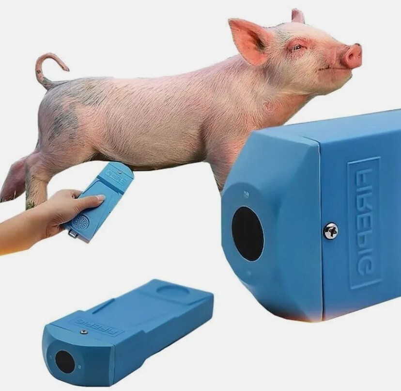 Livestock Portable Ultrasound Pregnancy Tester Pig Pregnancy Tester Sow