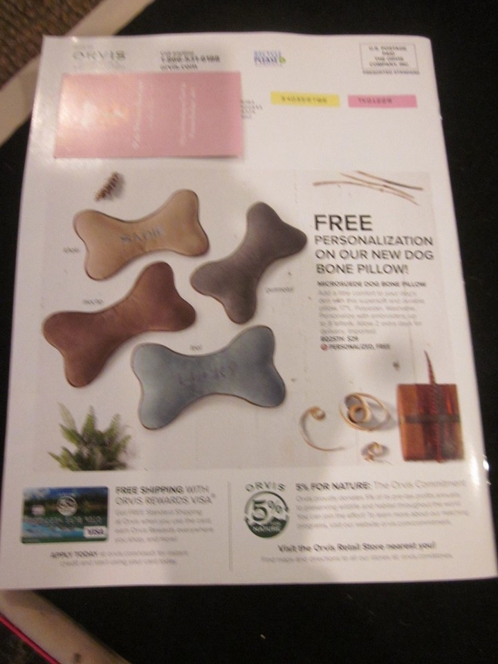 Orvis Dog Catalog November 2018 Forelle German Wirehair Pointer Spoil