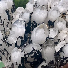 4.11LB Natural White Crystal Backbone Cluster Black Mineral Mud Specimen