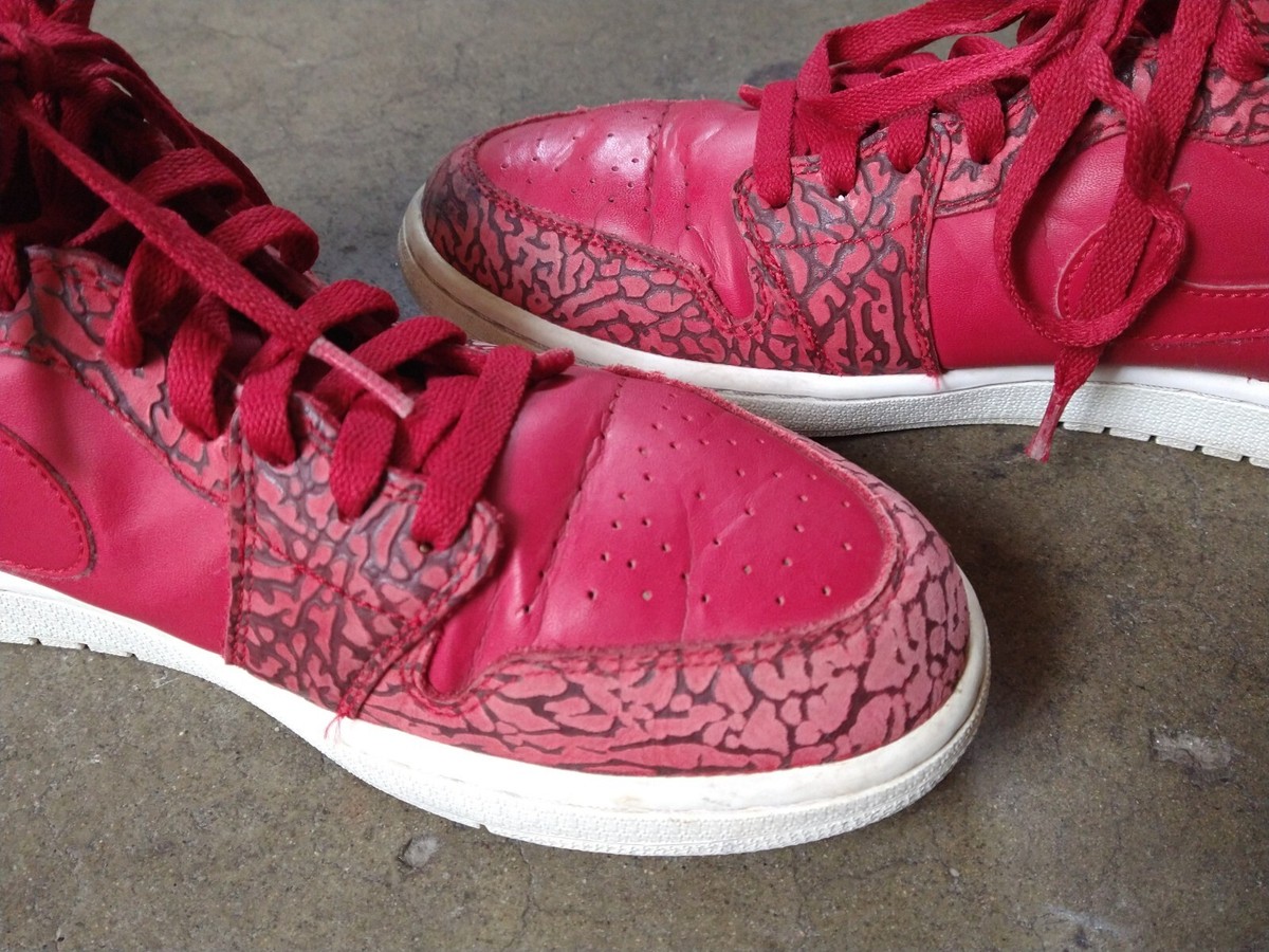 Nike Air Jordan 1 Retro High Red Elephant Men 10.5 839115-600