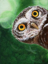 Original acrylic painting of a curious owl. Realistic wild bird Illustration.