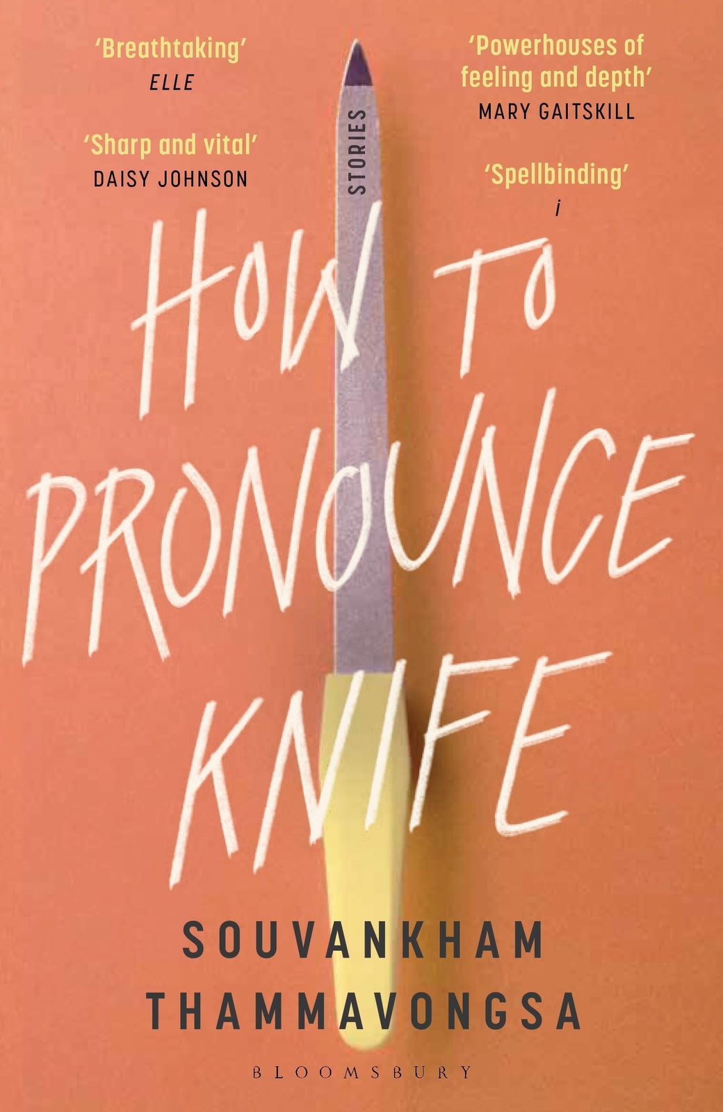 How To Pronounce Knife | Souvankham Thammavongsa | Taschenbuch |