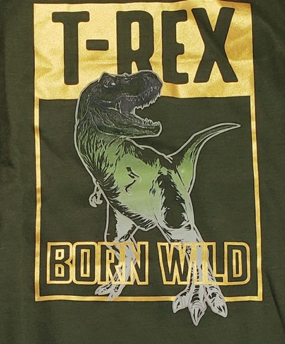 Wonder Nation "T-Rex Born Wild" Glow In The Dark Boys' Pajama Set Size 8/New - Picture 2 of 9