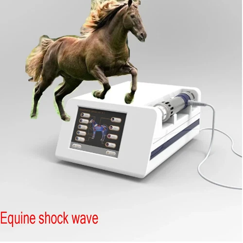 Equine Veterinary Shock Wave Theory Machine Horse Shockwave Therapy Pain Relif - Afbeelding 1 van 6