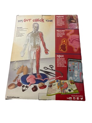 SMART LAB Squishy Human Body 21パーツ おもちゃ SmartLab Squishy Human Body Kit - Visible Science Anatomy Learning
