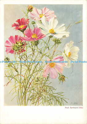 D186396 Blumen. Korsch. Prof. Berthold Sitka. 1981