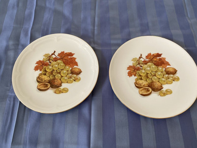 2 VTG Winterling Bavaria&Kahla GDR Fruit&Nut Salad/Dessert Plate Harvest Pattern