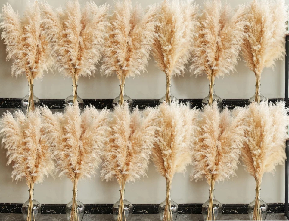 40" pulgadas 60 tallos hierba pampeana natural decoración alta, pompas hierba, pampas altas... Foto 2 de 4