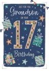 Just For You Grandson Happy 17th Birthday Card