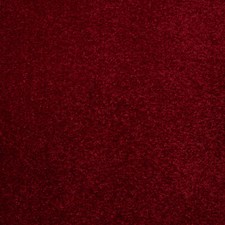 Samples - Cheap Red Carpets Twist & Loop Pile Fusion Back
