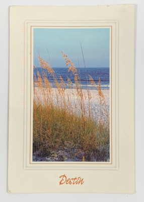Sea Oats adorn the White Sandy Beaches on the Emerald Coast Destin FL Postcard