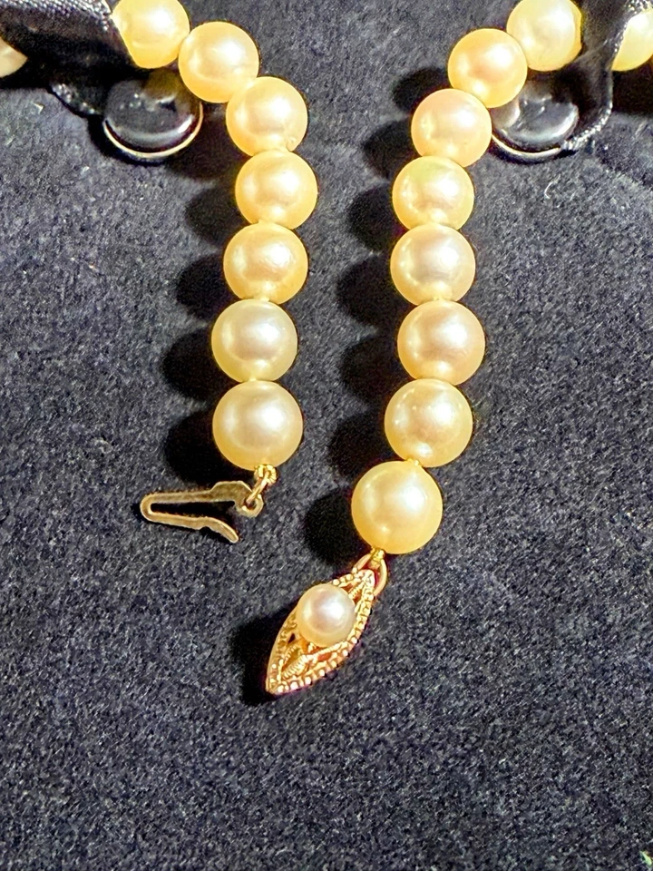 Gargantilla de perlas Akoya cultivadas en agua salada broche de oro de 14 K. Foto 2 de 2