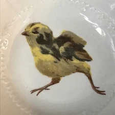 2 VINTAGE ANTIQUE BOWLS BABY CHICKS CHICKENS FARMHOUSE SHABBY