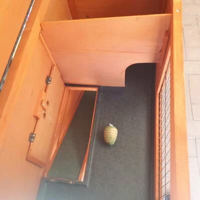 guinea pig hutch bunnings