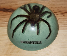 Vintage Tarantula 4 Inch Dome Paperweight Encased in Lucite/Acrylic GITD