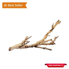 Forest Branch Small   Natural Wood Decor for Reptiles  Amphibians  Habitat