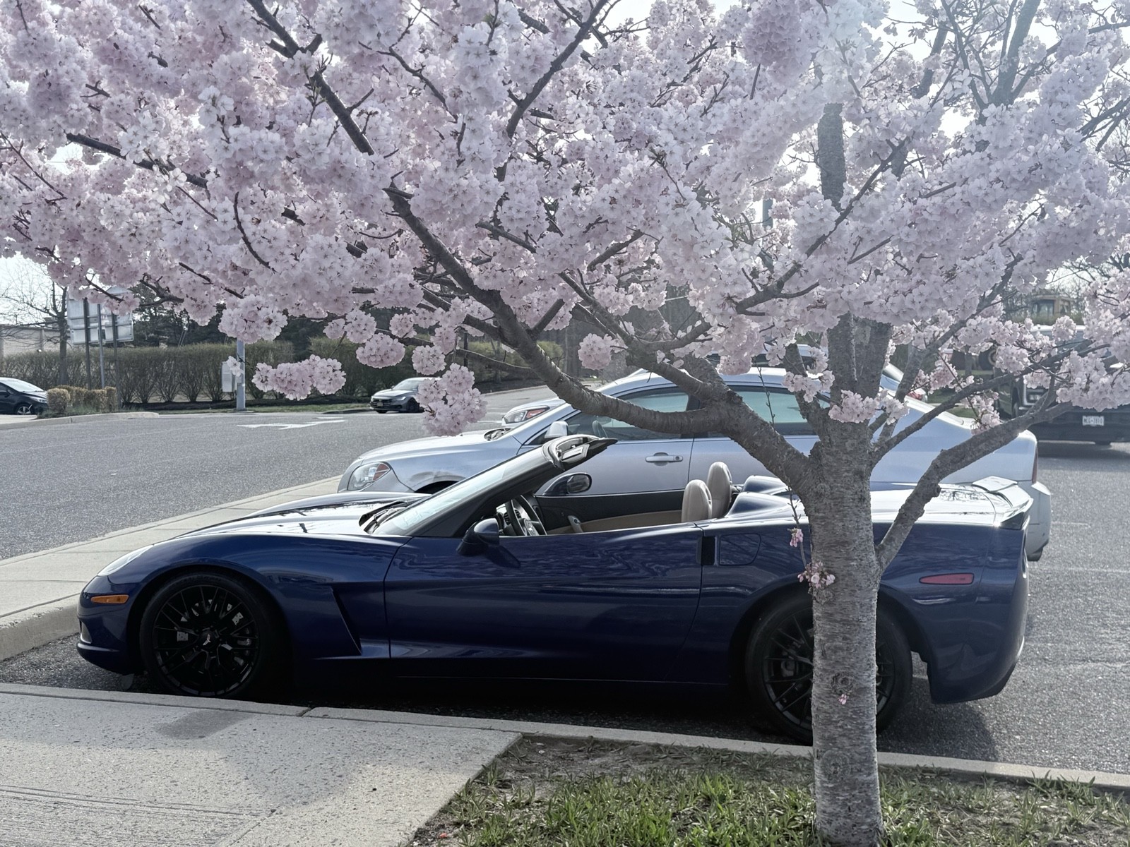 2005 Blue Chevrolet Corvette   | C6 Corvette Photo 3