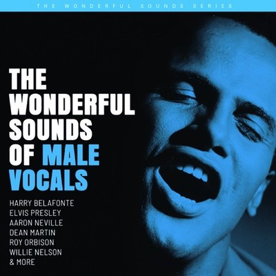 Analogue Productions VARIOUS - Audiophile Hybrid SACD - Male Vocals Sampler