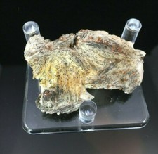 Red/Orange Vanadinte on Bladed Leopard Barite -Mibladen, Morocco 