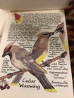 Picture 13 of 24
