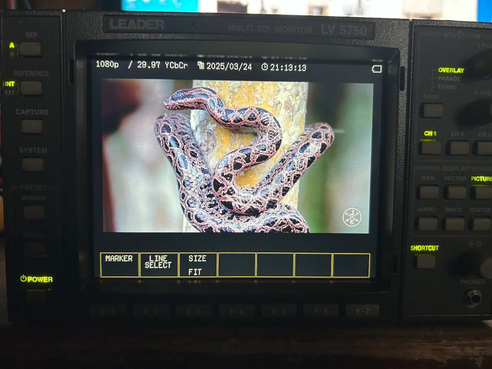 Picture 5 of 23