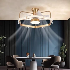 DIGLED caged ceiling fan ws-fpz105-12-mgd