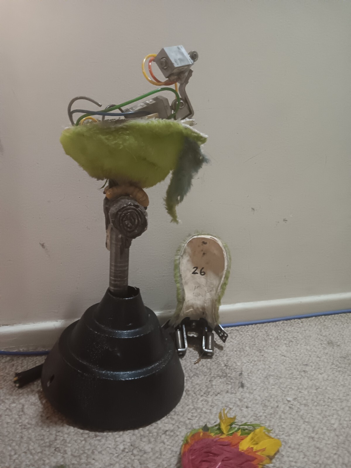 Picture 7 of 11