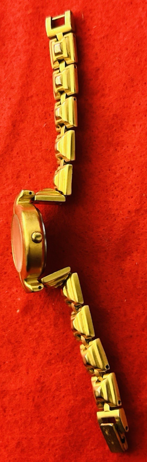 Philippines Watch Foundation For Exploration and … - image 5