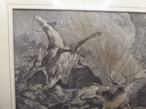 Kupferstich Johann Elias Ridinger Hirsch - Bild 5 von 8