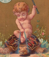 1880s McFerran Shallcross & Co. Magnolia Ham Fantasy Fairy On Turtle F152