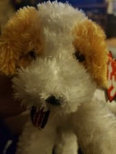 TY Beanie Baby - DARLING the Dog with Mint Tag