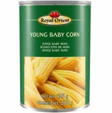 [ 200g ATG ] ROYAL ORIENT Maiskölbchen / Junge Maiskolben Baby Mais