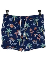 Mens Chubbies Boardshorts Swim Trunks Lined Palm Tree Neon Flamingo Blue Size XS