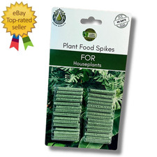 Fertiliser Spikes for LUSH GREEN Fern Palm Monstera Dracaena Philodendron Pothos