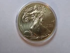 2014 Gold Coated  Uncirculated American Silver Eagle 1 ounce U S mint